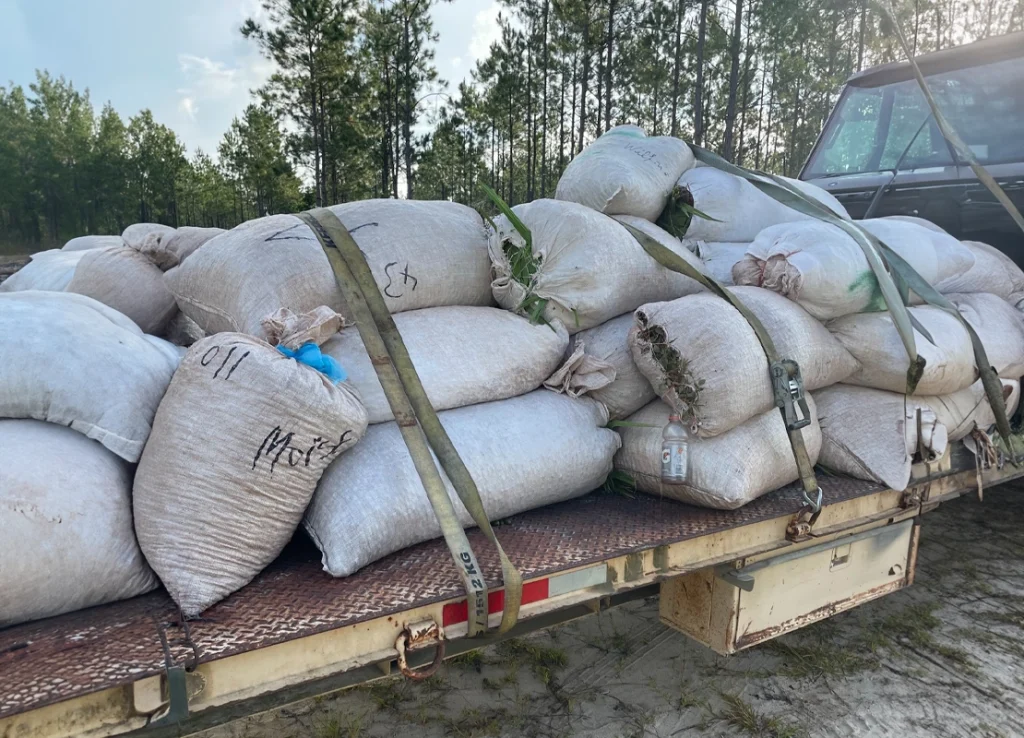 serenoa supply company about us image 4